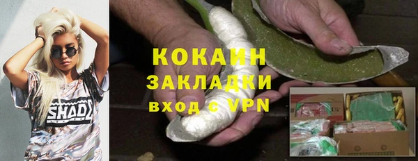 прущие крисы Гусев