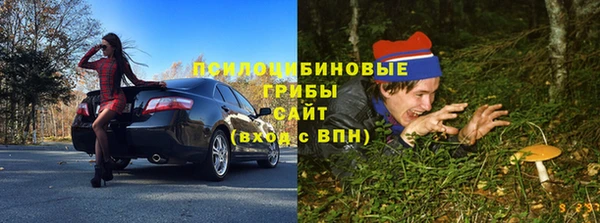 a pvp Гусь-Хрустальный
