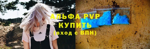 прущие крисы Гусев