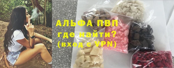 прущие крисы Гусев