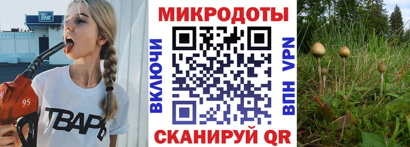 Галлюциногенные грибы Psilocybine cubensis  где продают наркотики  площадка телеграм  Дмитриев 